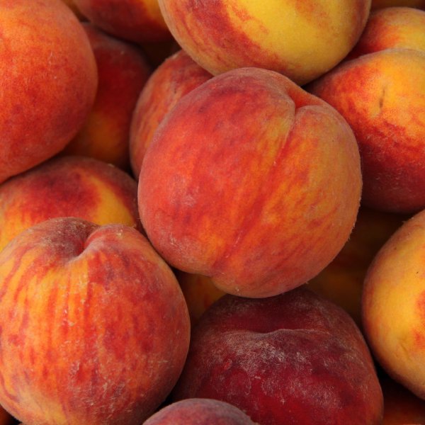 peaches.jpg